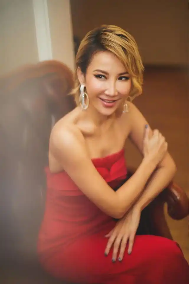 香港女明星离世_女明星死了几个_梅艳芳去世原因