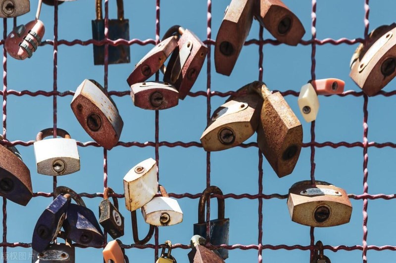 网红什么十一黑料,_平台规则与言论自由_网络舆论战